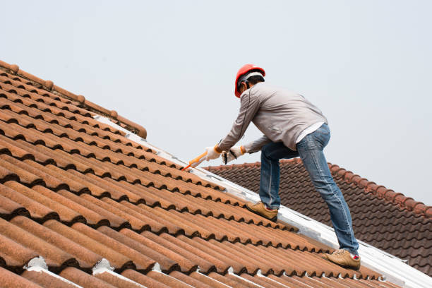 Best Roof Maintenance and Cleaning  in Delisle, MS