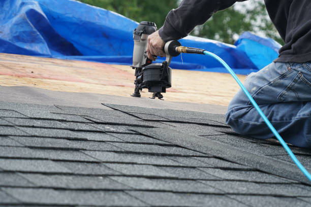 Best Roof Ventilation Installation  in Delisle, MS